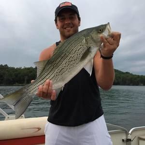 Meet your Posher, Trenton